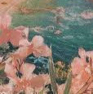 Meet your Posher, Mady